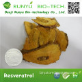 High Purity resveratrol 99%, china factory supply resveratrol 99%, lowest price resveratrol bulk powder